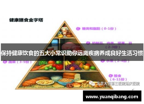 保持健康饮食的五大小常识助你远离疾病养成良好生活习惯